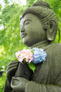神奈川で有名な神社9選！パワースポット・御朱印巡りにおすすめの場所は？